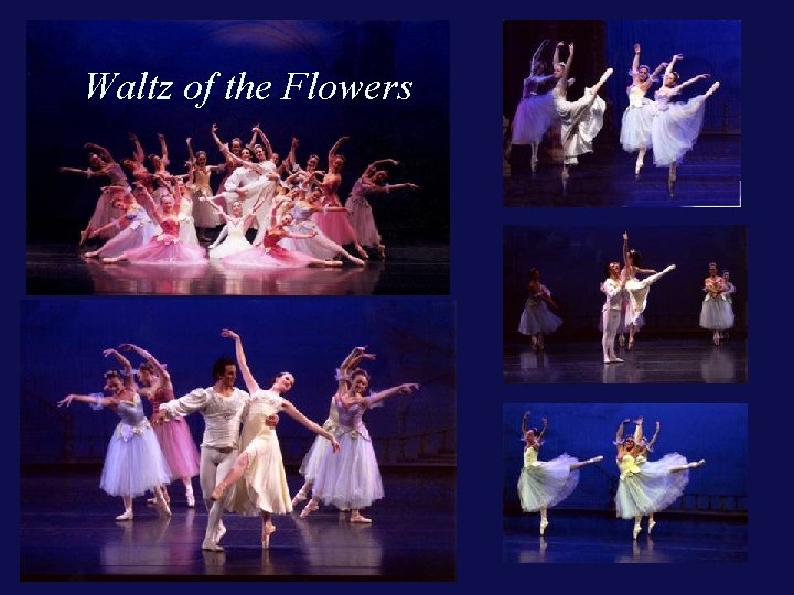 Waltz of the Flowers 