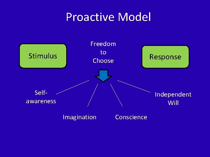 Proactive Model Stimulus Freedom to Choose Selfawareness Response Independent Will Imagination Conscience 