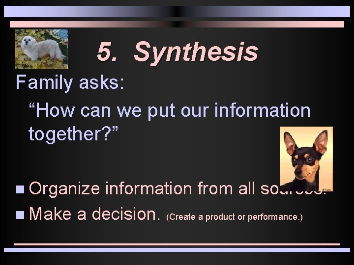 5. Synthesis Family asks: “How can we put our information together? ” n Organize