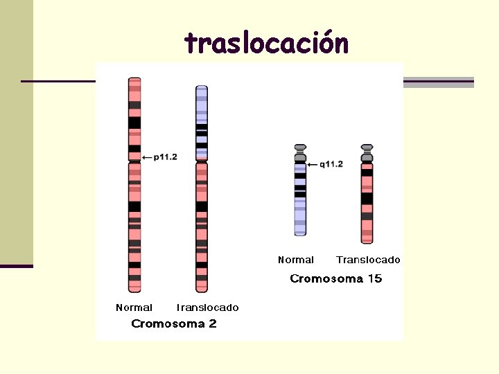 traslocación 