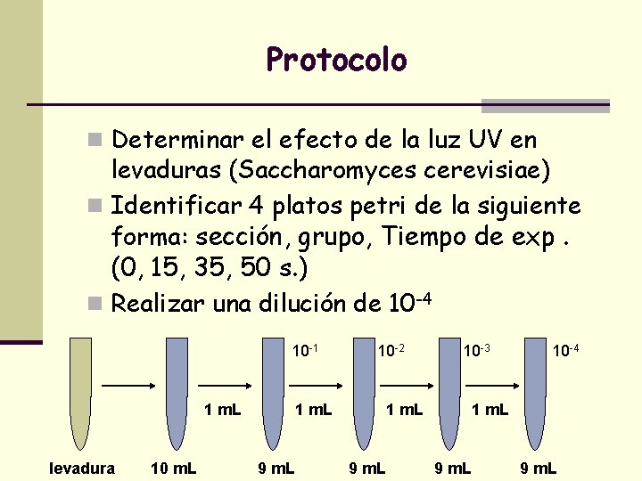 Protocolo n Determinar el efecto de la luz UV en levaduras (Saccharomyces cerevisiae) n