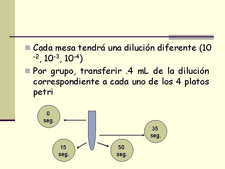 n Cada mesa tendrá una dilución diferente (10 -2, 10 -3, 10 -4) n