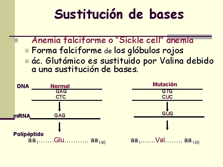 Sustitución de bases n Anemia falciforme o “Sickle cell” anemia n Forma falciforme de