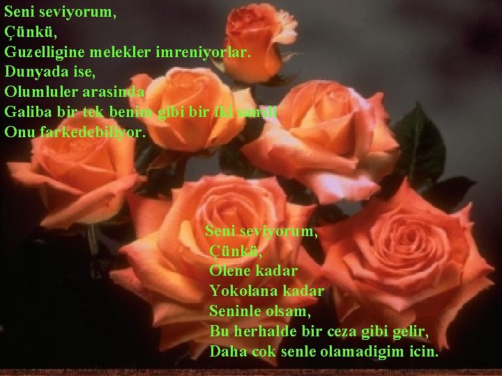 Seni seviyorum, Çünkü, Guzelligine melekler imreniyorlar. Dunyada ise, Olumluler arasinda Galiba bir tek benim