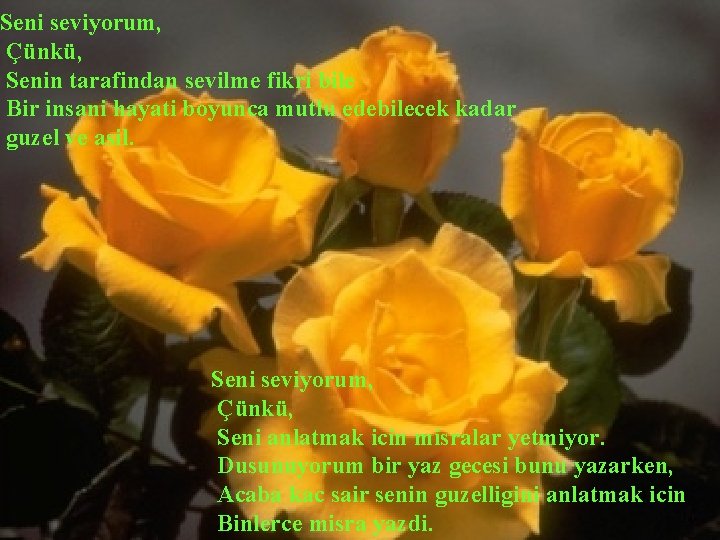 Seni seviyorum, Çünkü, Senin tarafindan sevilme fikri bile Bir insani hayati boyunca mutlu edebilecek
