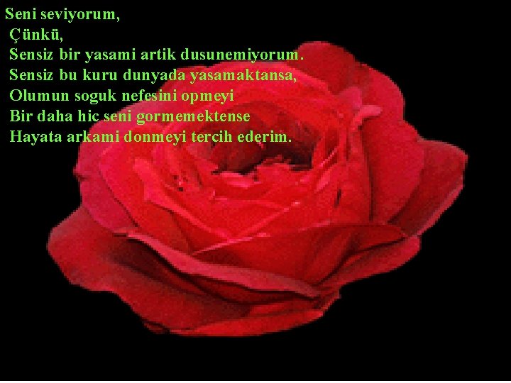 Seni seviyorum, Çünkü, Sensiz bir yasami artik dusunemiyorum. Sensiz bu kuru dunyada yasamaktansa, Olumun