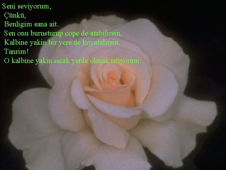 Seni seviyorum, Çünkü, Benligim sana ait. Sen onu burusturup cope de atabilirsin, Kalbine yakin