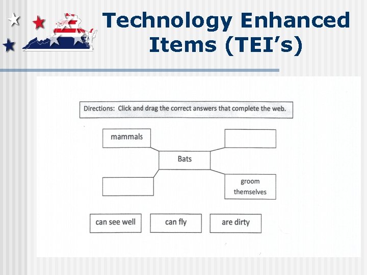 Technology Enhanced Items (TEI’s) 