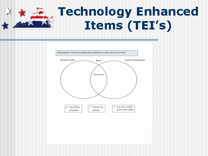 Technology Enhanced Items (TEI’s) 