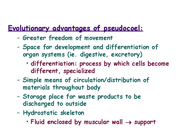 Evolutionary advantages of pseudocoel: – Greater freedom of movement – Space for development and