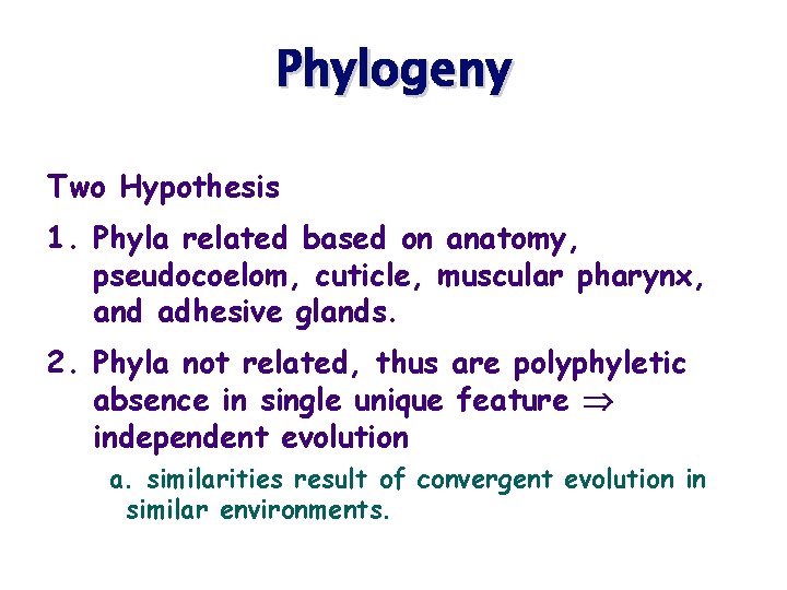 Phylogeny Two Hypothesis 1. Phyla related based on anatomy, pseudocoelom, cuticle, muscular pharynx, and