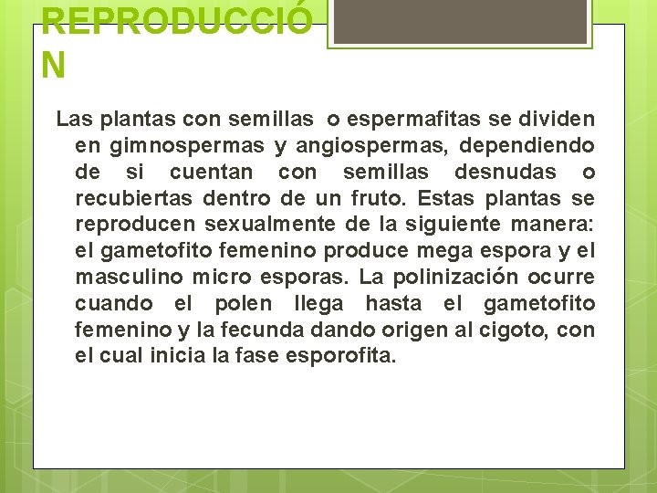 REPRODUCCIÓ N Las plantas con semillas o espermafitas se dividen en gimnospermas y angiospermas,