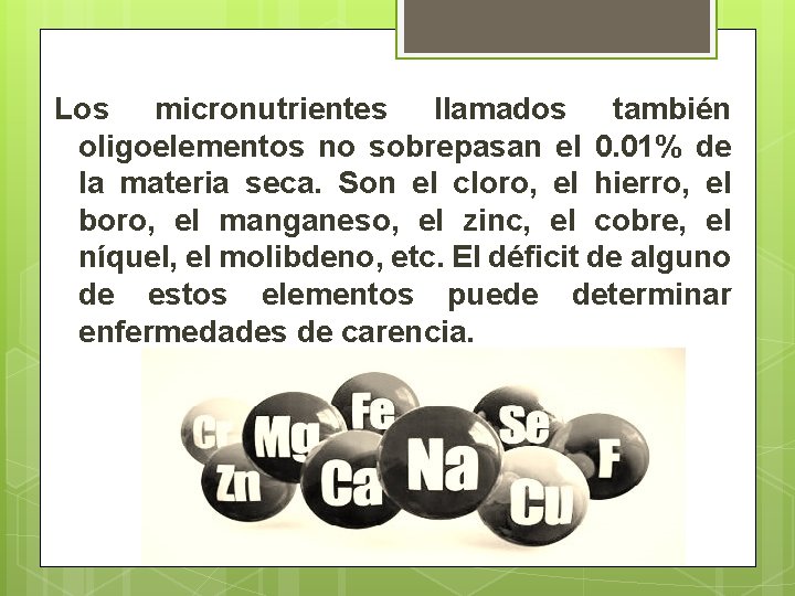 Los micronutrientes llamados también oligoelementos no sobrepasan el 0. 01% de la materia seca.