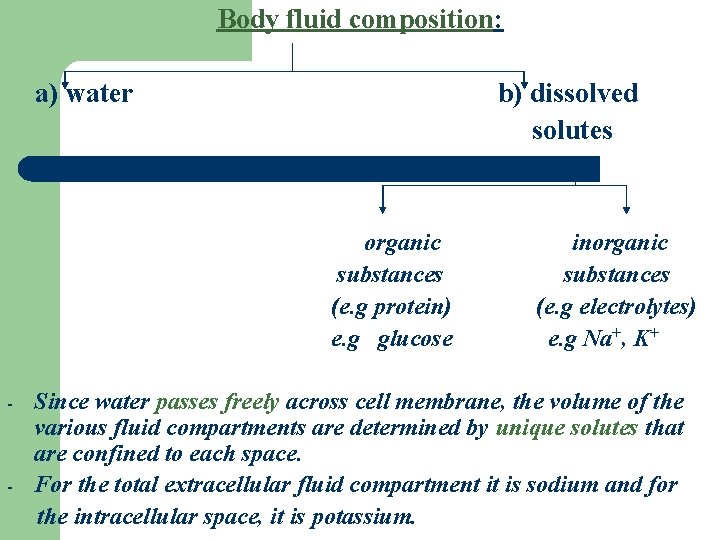 Body fluid composition: a) water b) dissolved solutes organic substances (e. g protein) e.