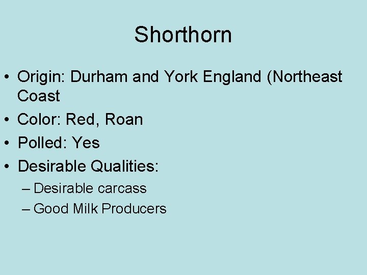 Shorthorn • Origin: Durham and York England (Northeast Coast • Color: Red, Roan •