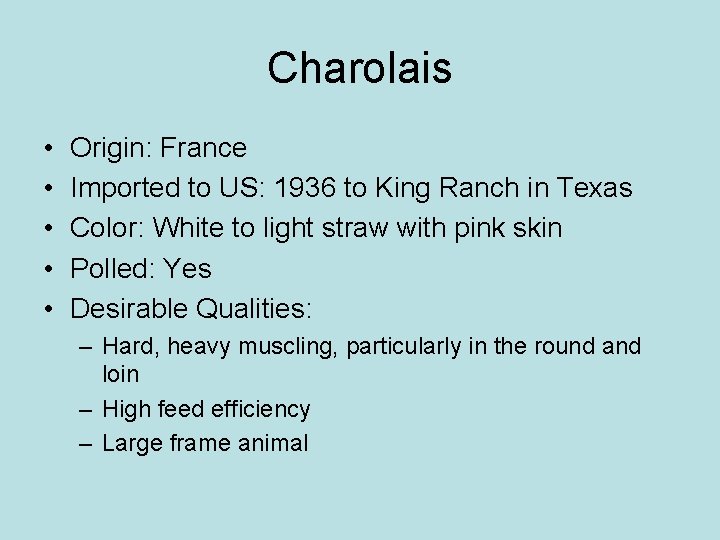 Charolais • • • Origin: France Imported to US: 1936 to King Ranch in