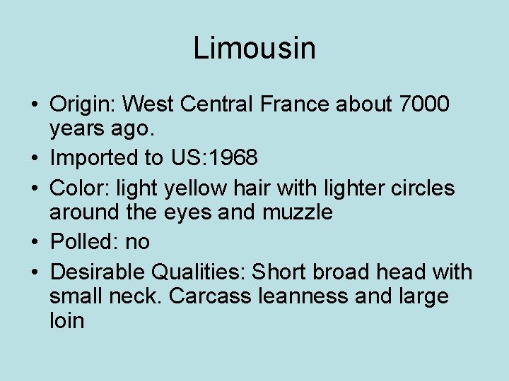Limousin • Origin: West Central France about 7000 years ago. • Imported to US:
