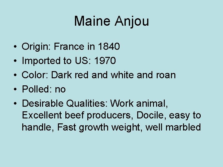 Maine Anjou • • • Origin: France in 1840 Imported to US: 1970 Color: