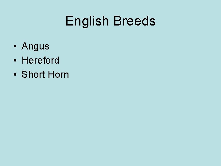 English Breeds • Angus • Hereford • Short Horn 