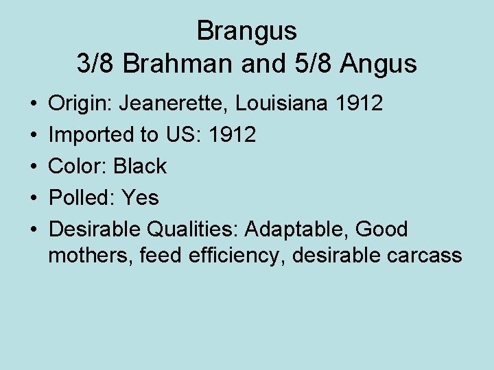 Brangus 3/8 Brahman and 5/8 Angus • • • Origin: Jeanerette, Louisiana 1912 Imported