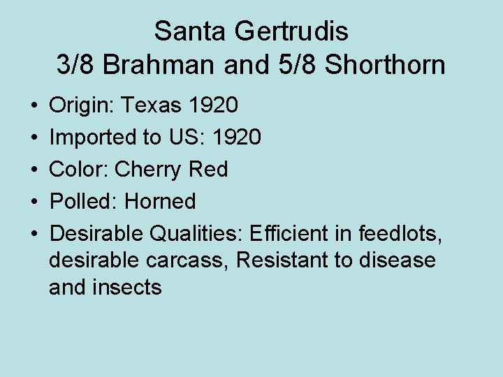 Santa Gertrudis 3/8 Brahman and 5/8 Shorthorn • • • Origin: Texas 1920 Imported