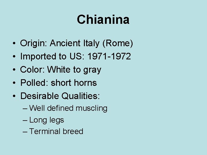 Chianina • • • Origin: Ancient Italy (Rome) Imported to US: 1971 -1972 Color: