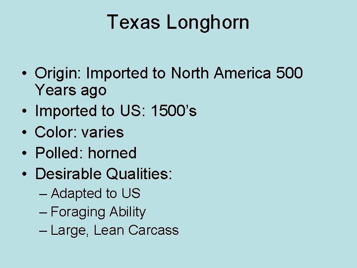 Texas Longhorn • Origin: Imported to North America 500 Years ago • Imported to