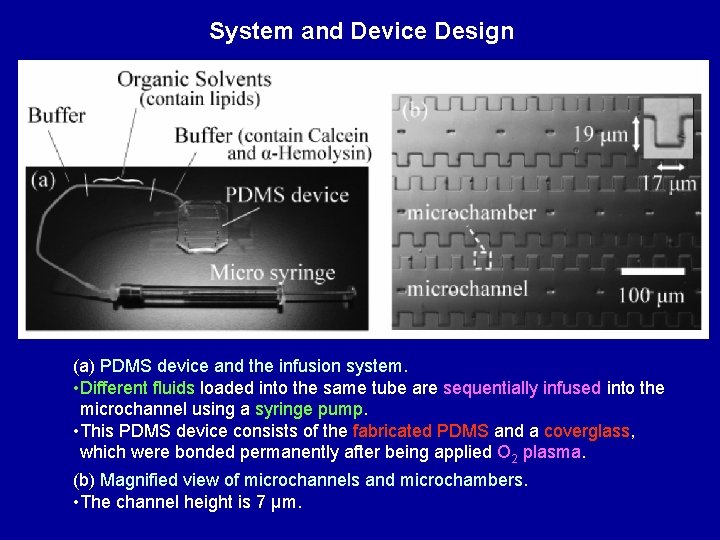 System and Device Design (a) PDMS device and the infusion system. • Different fluids