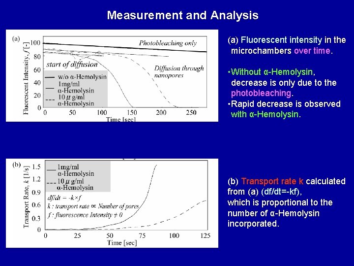 Measurement and Analysis (a) Fluorescent intensity in the microchambers over time. • Without α-Hemolysin,