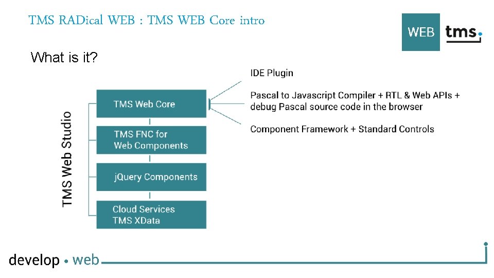 TMS RADical WEB : TMS WEB Core intro What is it? 