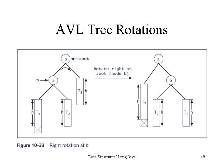 AVL Tree Rotations Data Structures Using Java 49 