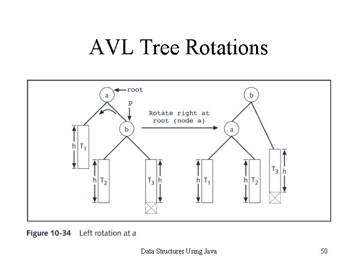 AVL Tree Rotations Data Structures Using Java 50 