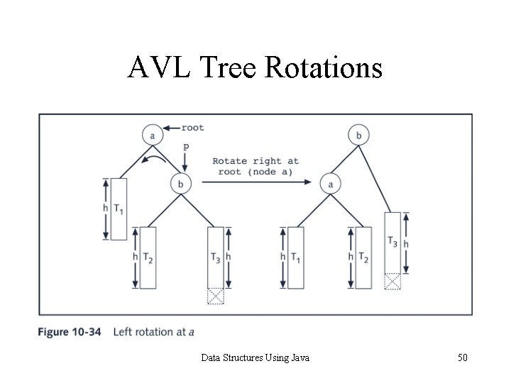 AVL Tree Rotations Data Structures Using Java 50 AVL Tree Rotations Data Structures Using Java 50