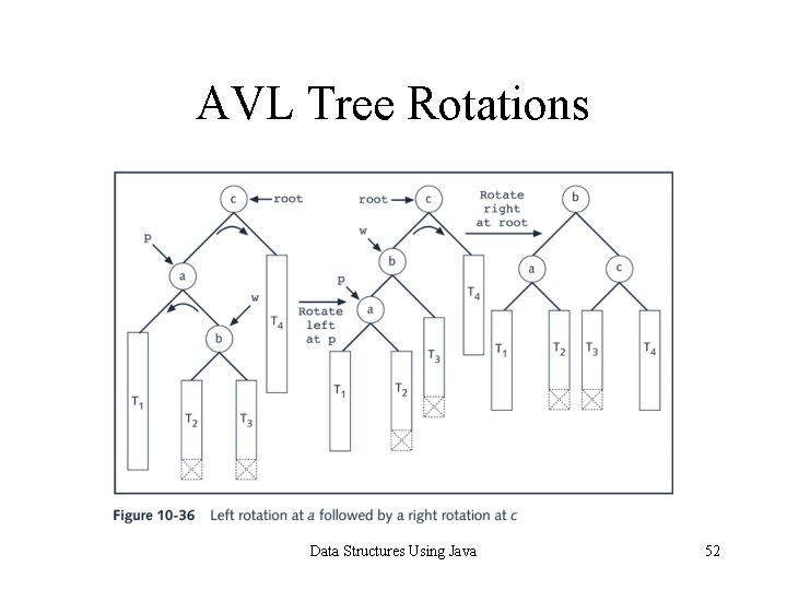 AVL Tree Rotations Data Structures Using Java 52 
