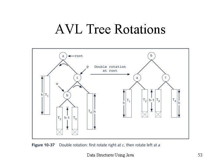 AVL Tree Rotations Data Structures Using Java 53 