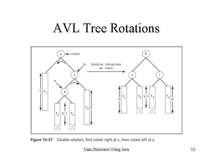 AVL Tree Rotations Data Structures Using Java 53 AVL Tree Rotations Data Structures Using Java 53