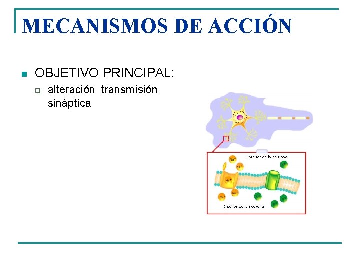 MECANISMOS DE ACCIÓN n OBJETIVO PRINCIPAL: q alteración transmisión sináptica 