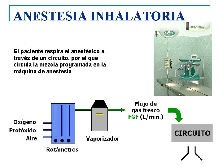 ANESTESIA INHALATORIA El paciente respira el anestésico a través de un circuito, por el