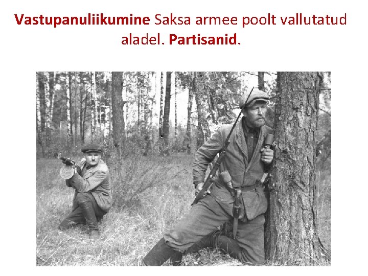 Vastupanuliikumine Saksa armee poolt vallutatud aladel. Partisanid. 