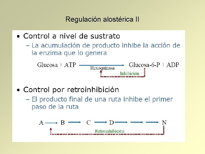 Regulación alostérica II 