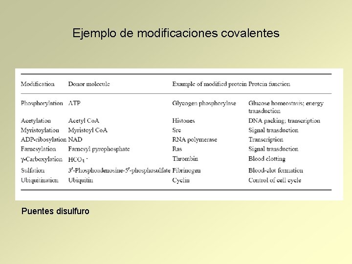 Ejemplo de modificaciones covalentes Puentes disulfuro 