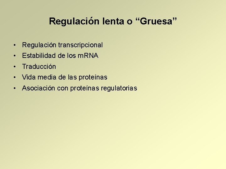 Regulación lenta o “Gruesa” • Regulación transcripcional • Estabilidad de los m. RNA •