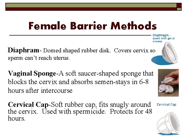 Female Barrier Methods Diaphram- Domed shaped rubber disk. Covers cervix so sperm can’t reach