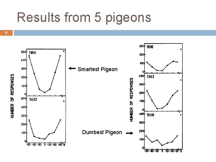 Results from 5 pigeons 8 Smartest Pigeon Dumbest Pigeon 