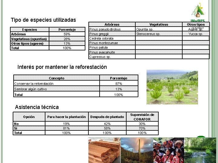 Tipo de especies utilizadas Especies Arbóreas Vegetativas (opuntias) Otros tipos (agaves) Total Porcentaje 59%