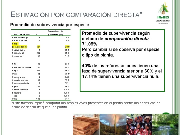 ESTIMACIÓN POR COMPARACIÓN DIRECTA* Promedio de sobrevivencia por especie Rótulos de fila Pinus Hartwegii