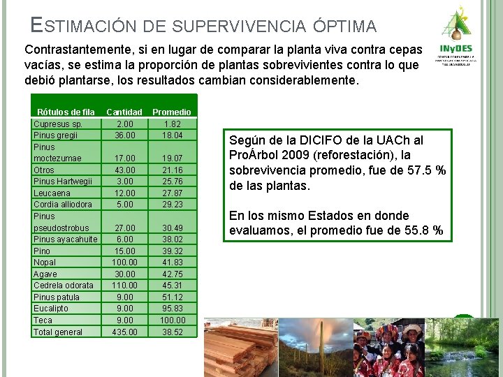 ESTIMACIÓN DE SUPERVIVENCIA ÓPTIMA Contrastantemente, si en lugar de comparar la planta viva contra