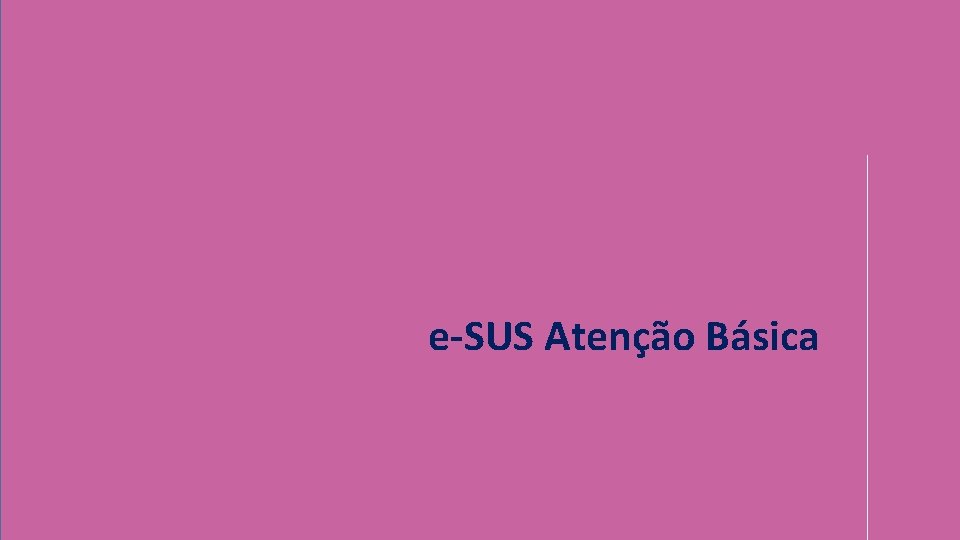 e-SUS Atenção Básica 