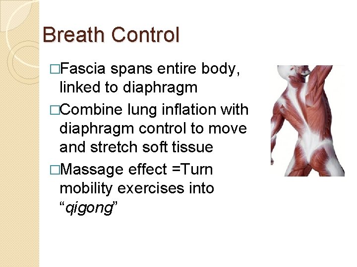 Breath Control �Fascia spans entire body, linked to diaphragm �Combine lung inflation with diaphragm