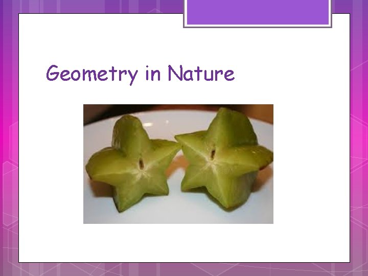 Geometry in Nature 